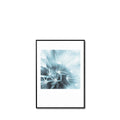 Cuadro Dandelion 3 50*70 Negro